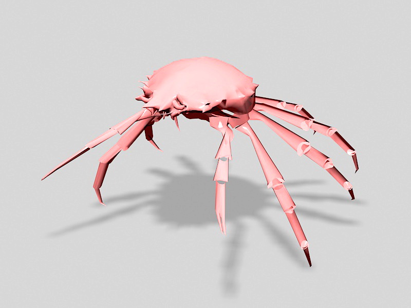 Pink Crab 3d rendering