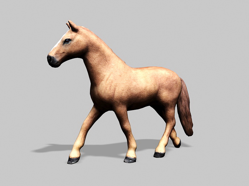 Beautiful Brown Horse 3d rendering