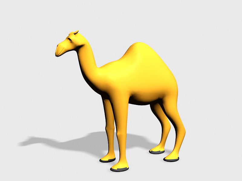 Dromedary Camel 3d rendering