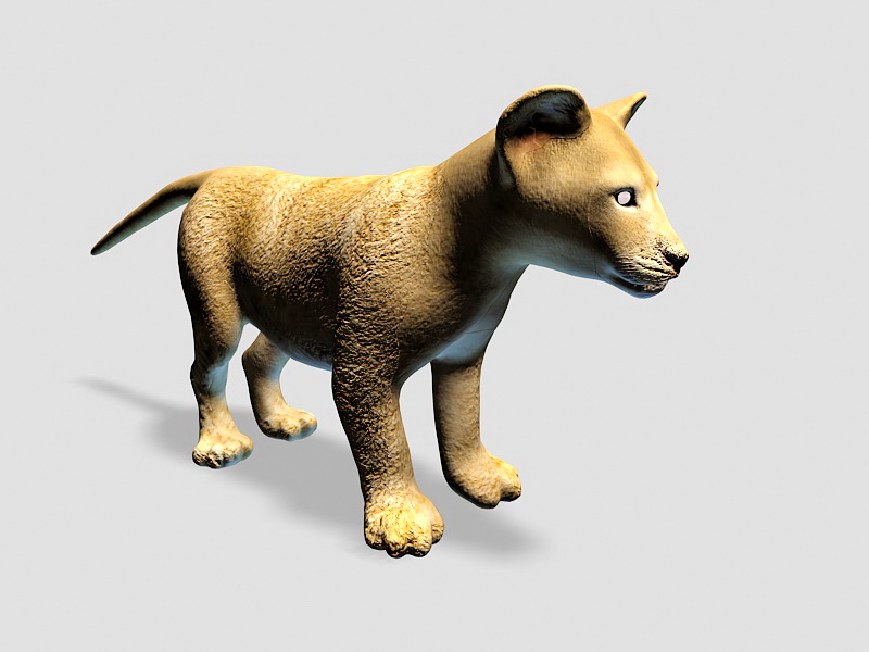 Cute Baby Lion 3d rendering