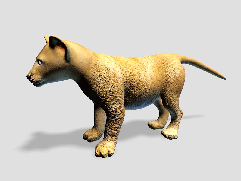 Cute Baby Lion 3d rendering