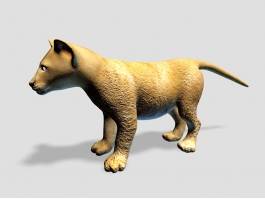 Cute Baby Lion 3d preview
