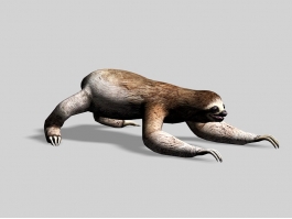 Sloth Animal 3d preview