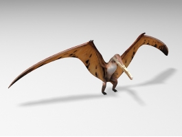 Cearadactylus Atrox 3d model preview