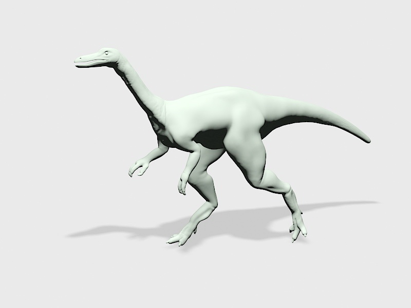 Coelurus Dinosaur 3d rendering