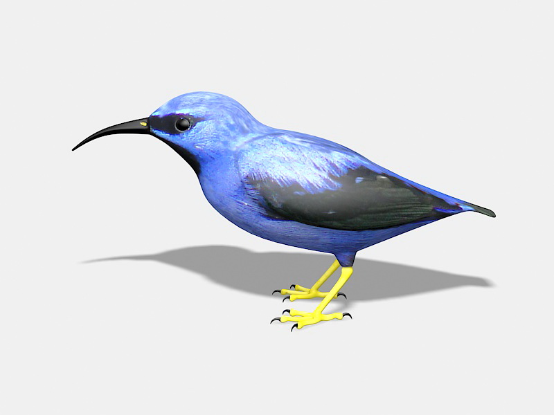 Mountain Bluebird 3d rendering