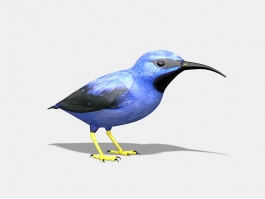 Mountain Bluebird 3d preview