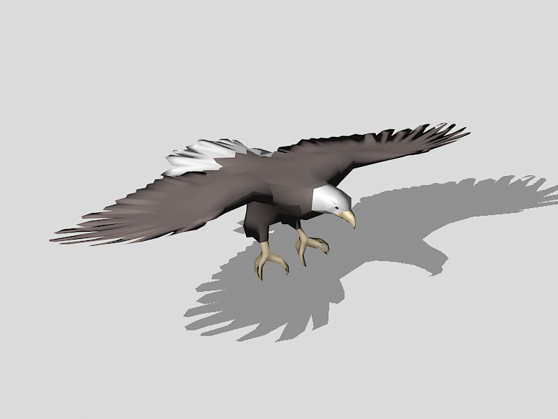 American Bald Eagle 3d rendering