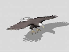 American Bald Eagle 3d preview