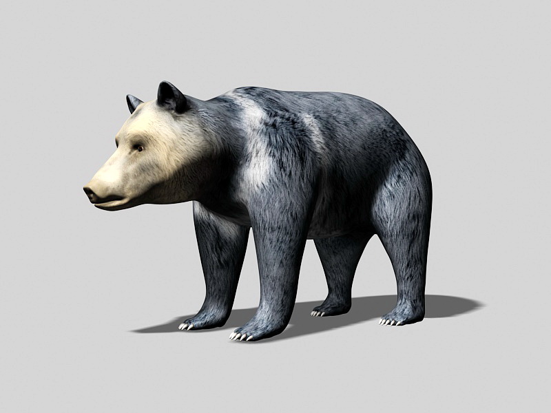 Tibetan Bear 3d rendering