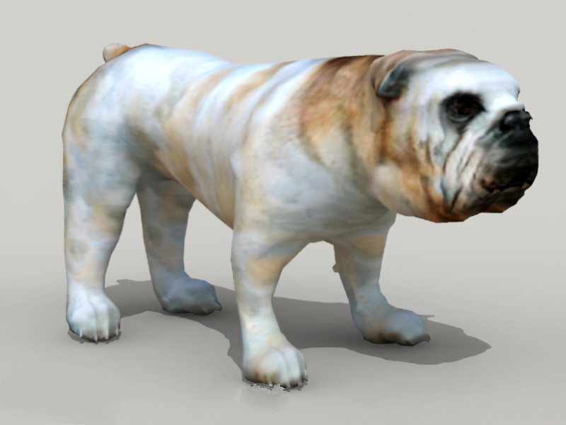 Small Bulldog 3d rendering