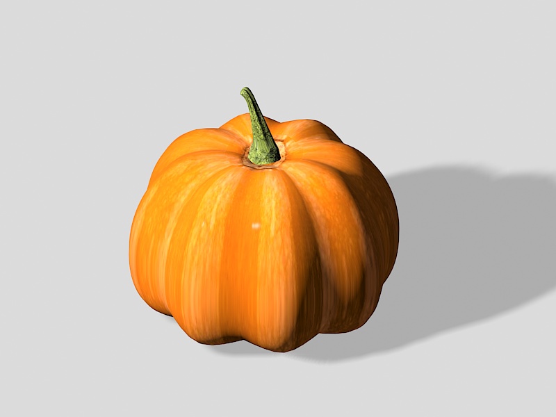 Fairytale Pumpkin 3d rendering