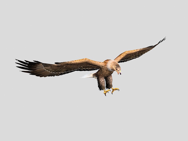 Bald Eagle Low Poly 3d rendering