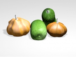 Pumpkin and Wax Gourd 3d model preview