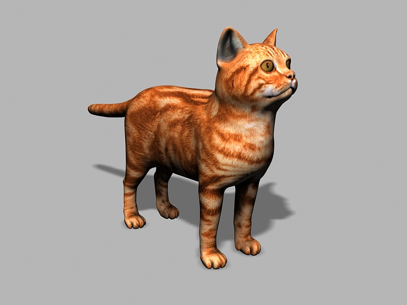 Orange Tabby Cat 3d rendering