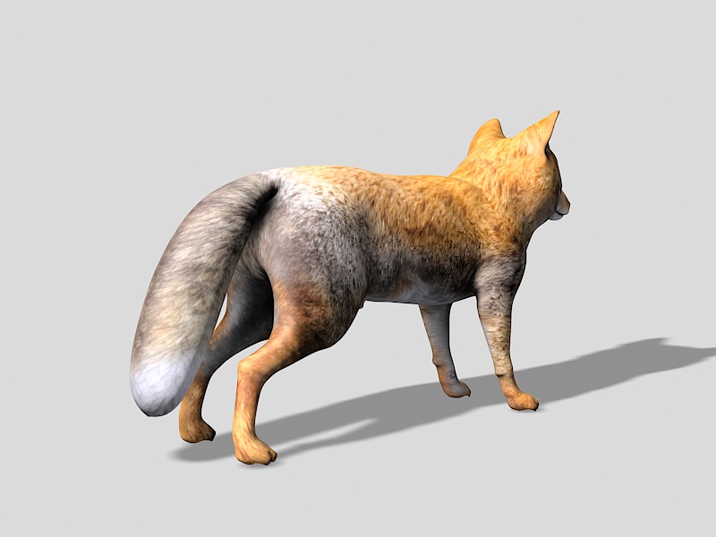 Tibetan Sand Fox 3d rendering