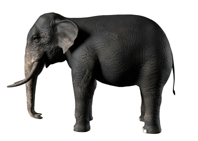 Black Elephant 3d rendering
