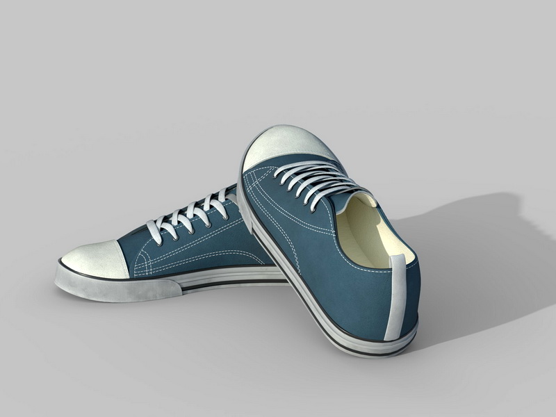 Canvas Sneakers 3d rendering