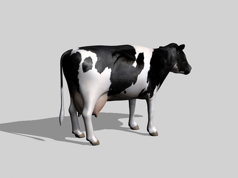 Holstein Friesian 3d rendering