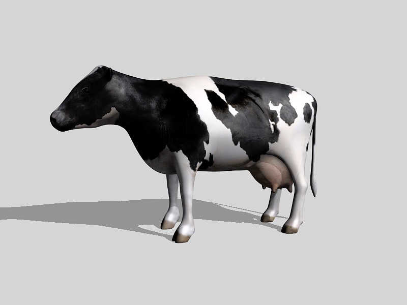 Holstein Friesian 3d rendering