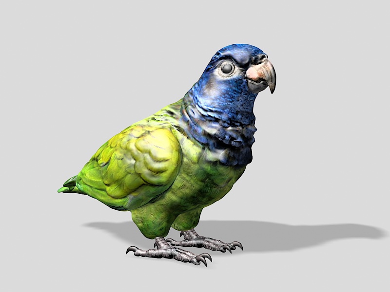 Blue-headed Parrot 3d rendering