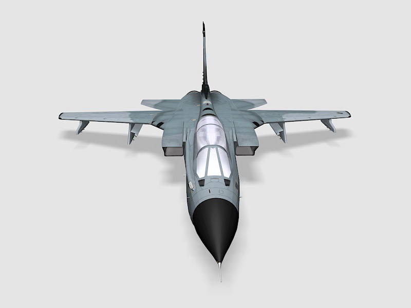 Panavia Tornado GR4 3d rendering