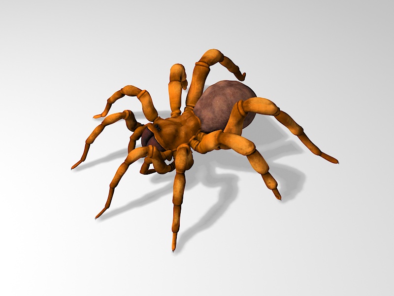 Tarantula Spider 3d rendering