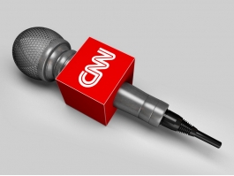 News Reporter Microphone 3d model preview