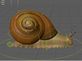 Snail Rigged 3d preview