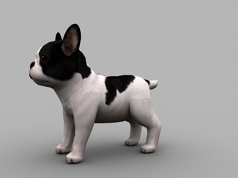 Mini French Bulldog 3d rendering