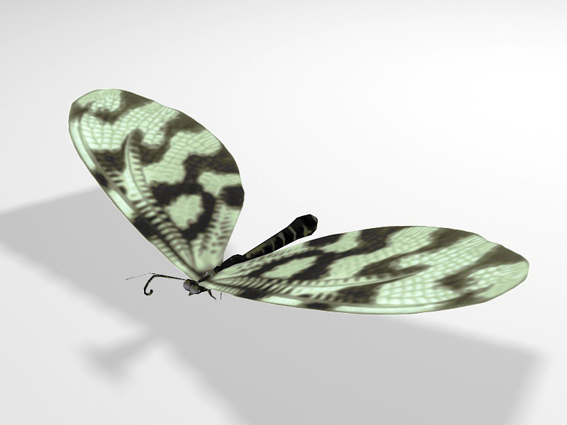 Lycaenidae Butterfly 3d rendering