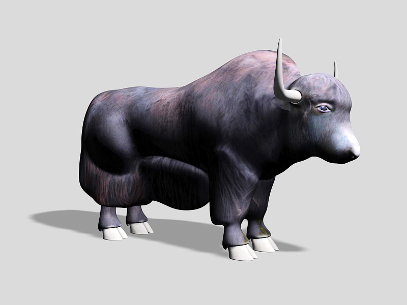 Himalayan Yak Animal 3d rendering