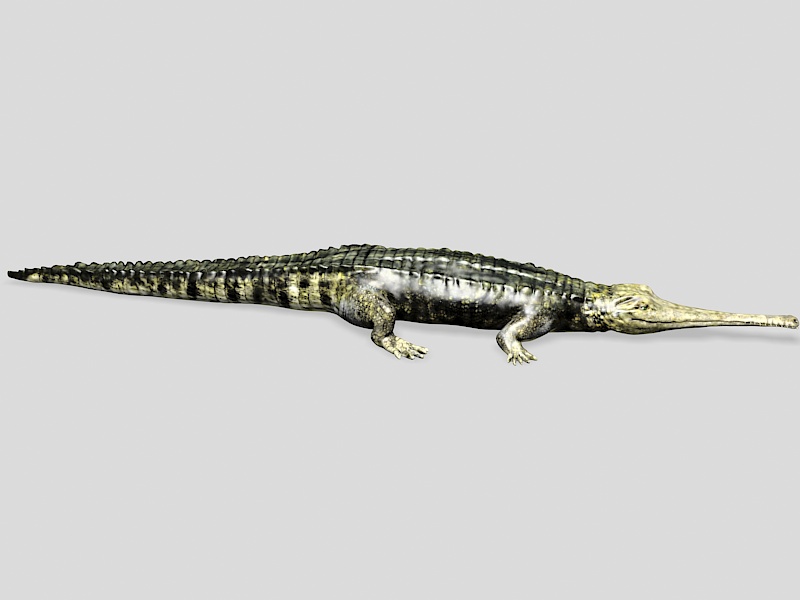 Teleosaurus 3d rendering