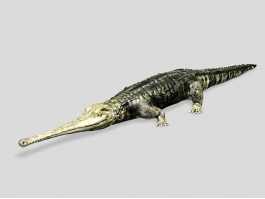 Teleosaurus 3d preview