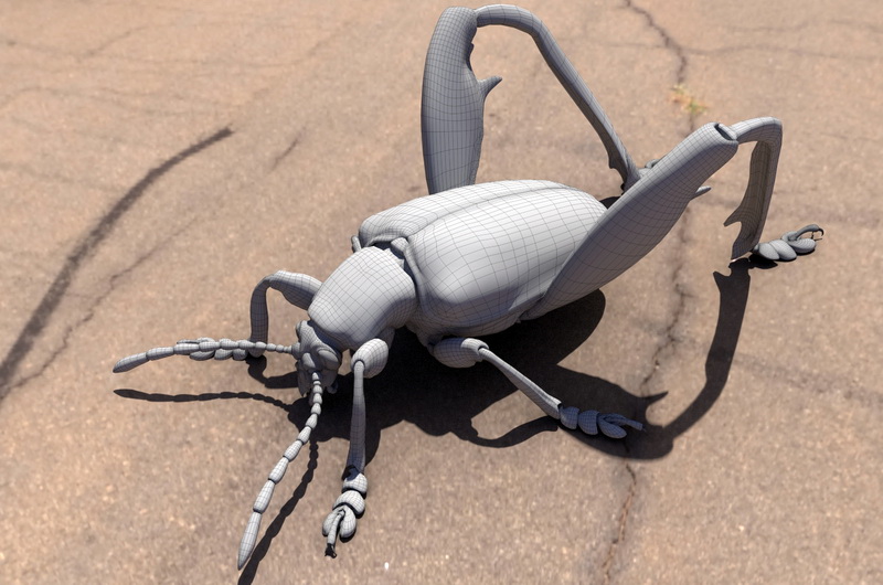 Black Shield Bug 3d rendering