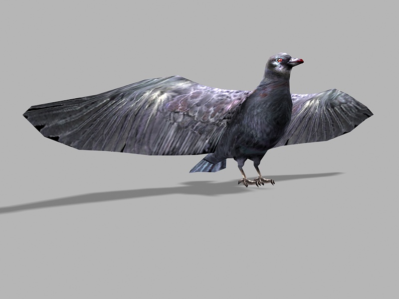 Crow Artwork Low Poly 3d rendering