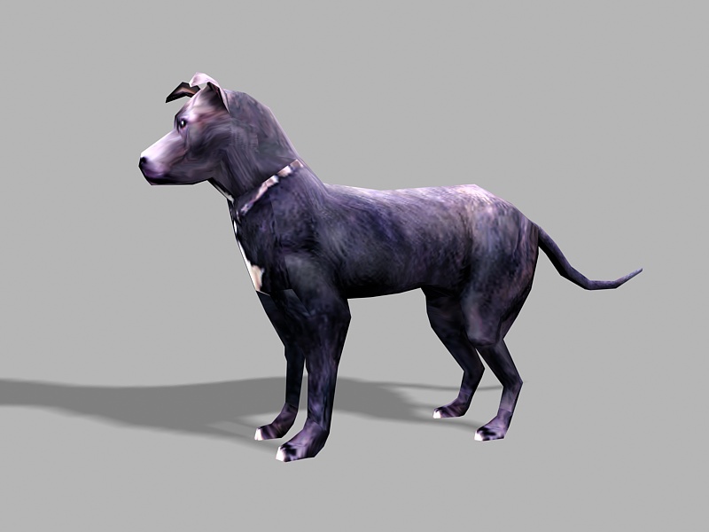 Black Black Labrador Low Poly 3d rendering