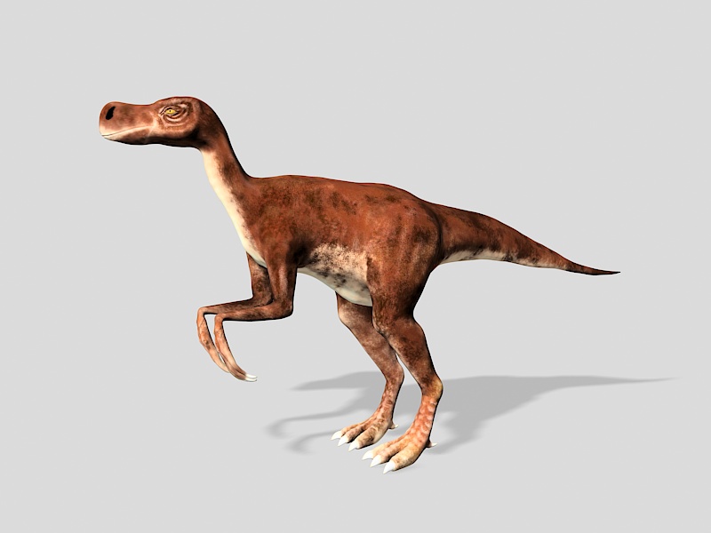 Chirostenotes Dinosaur 3d rendering