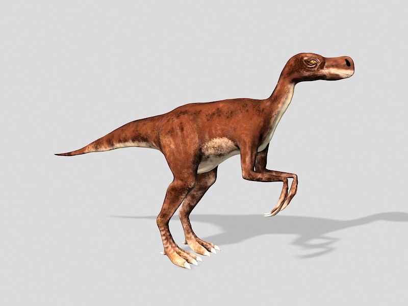 Chirostenotes Dinosaur 3d rendering
