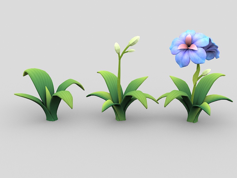 Cartoon Orchid Plant and Flower 3d rendering