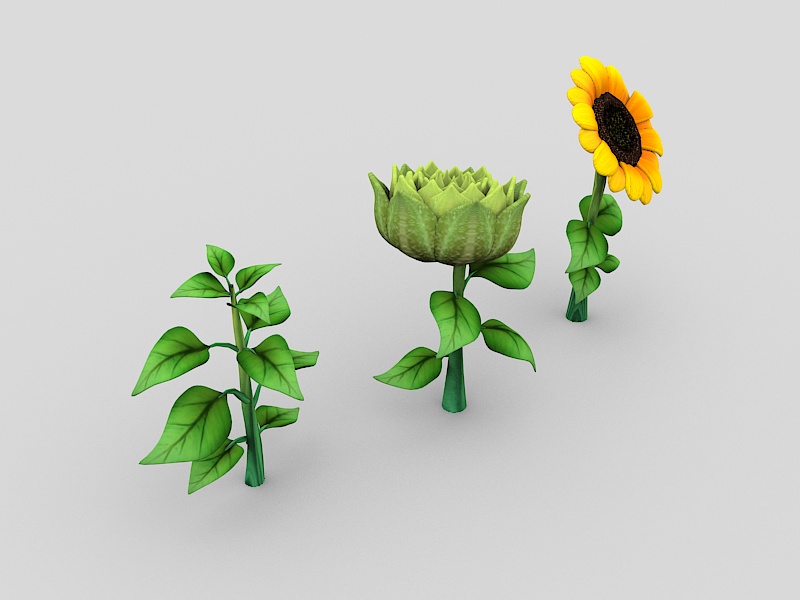 Cartoon Sunflower Plant 3d rendering