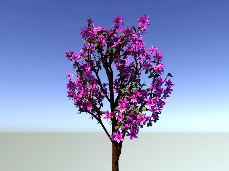 Pink Rhododendron Plant 3d rendering