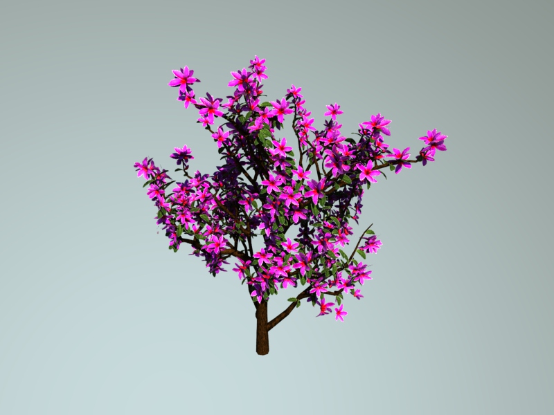 Pink Rhododendron Plant 3d rendering